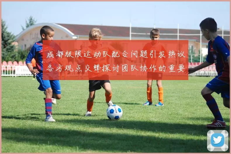 成都极限运动队配合问题引发热议各方观点交锋探讨团队协作的重要性