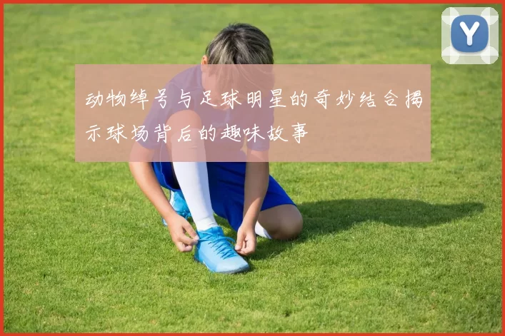 动物绰号与足球明星的奇妙结合揭示球场背后的趣味故事