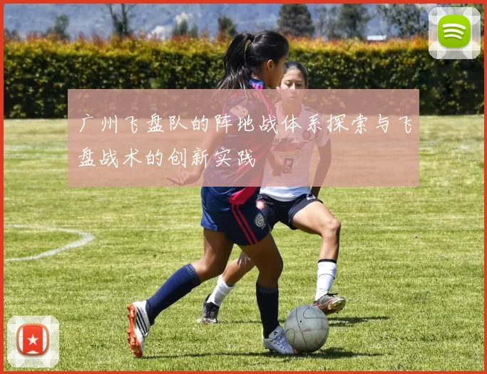 广州飞盘队的阵地战体系探索与飞盘战术的创新实践