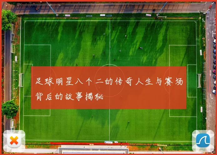 足球明星八个二的传奇人生与赛场背后的故事揭秘