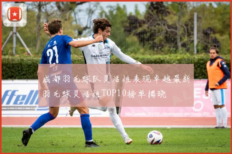成都羽毛球队灵活性表现卓越最新羽毛球灵活性TOP10榜单揭晓