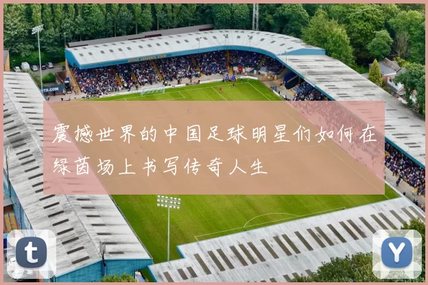震撼世界的中国足球明星们如何在绿茵场上书写传奇人生