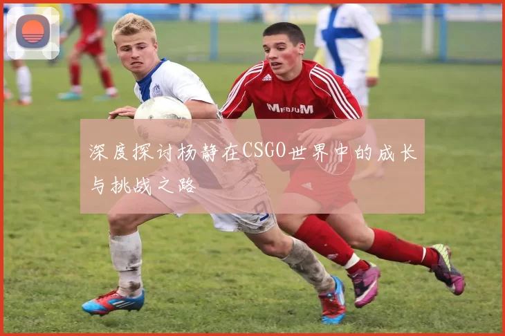 深度探讨杨静在CSGO世界中的成长与挑战之路