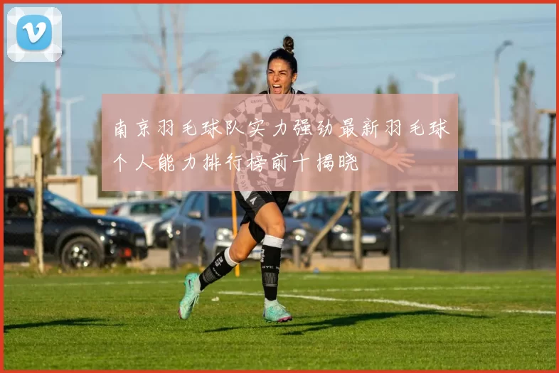南京羽毛球队实力强劲最新羽毛球个人能力排行榜前十揭晓