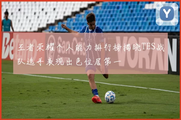 王者荣耀个人能力排行榜揭晓TES战队选手表现出色位居第一