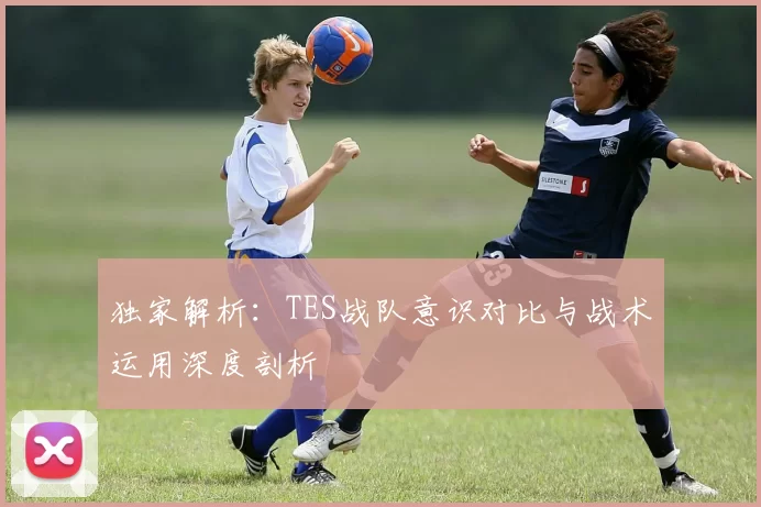 独家解析：TES战队意识对比与战术运用深度剖析