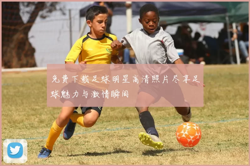 免费下载足球明星高清照片尽享足球魅力与激情瞬间
