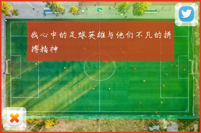 我心中的足球英雄与他们不凡的拼搏精神