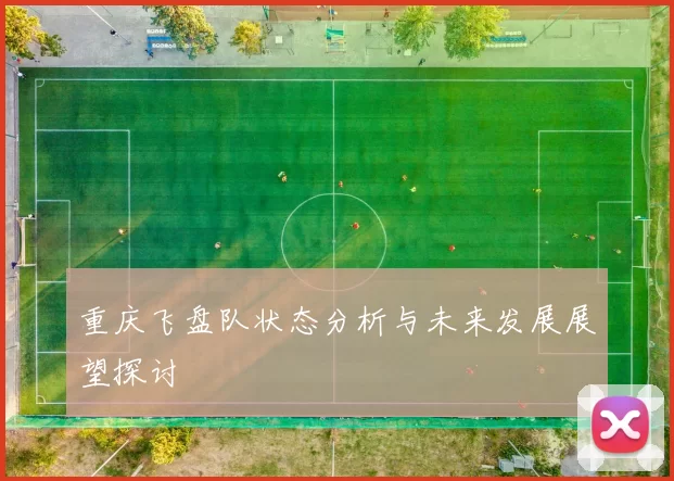 重庆飞盘队状态分析与未来发展展望探讨