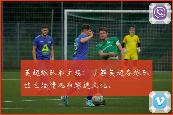 英超球队和主场：了解英超各球队的主场情况和球迷文化。
