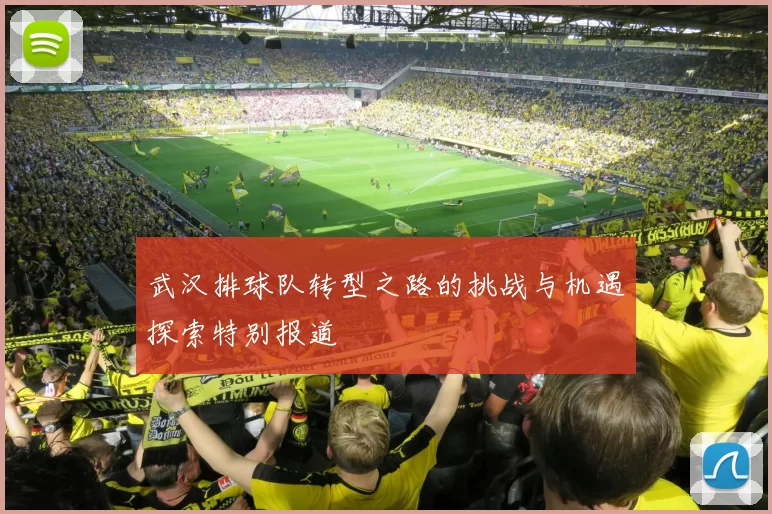 武汉排球队转型之路的挑战与机遇探索特别报道