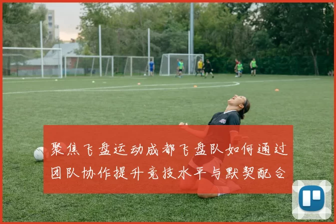 聚焦飞盘运动成都飞盘队如何通过团队协作提升竞技水平与默契配合