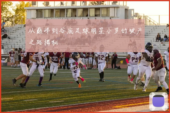 从巅峰到谷底足球明星小罗的破产之路揭秘