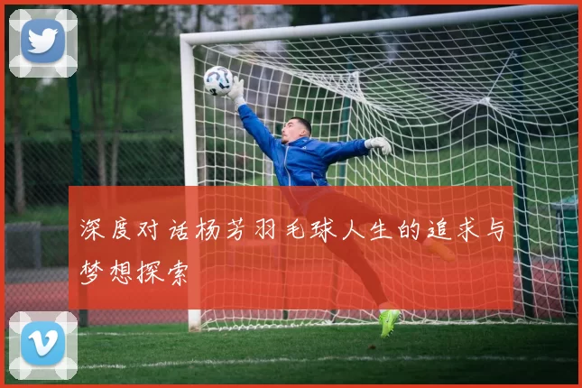 深度对话杨芳羽毛球人生的追求与梦想探索