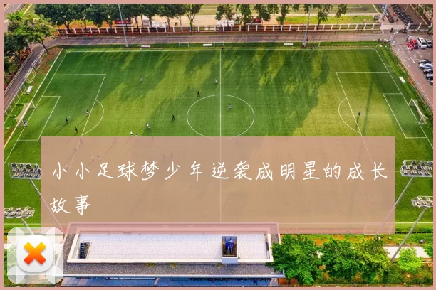 小小足球梦少年逆袭成明星的成长故事